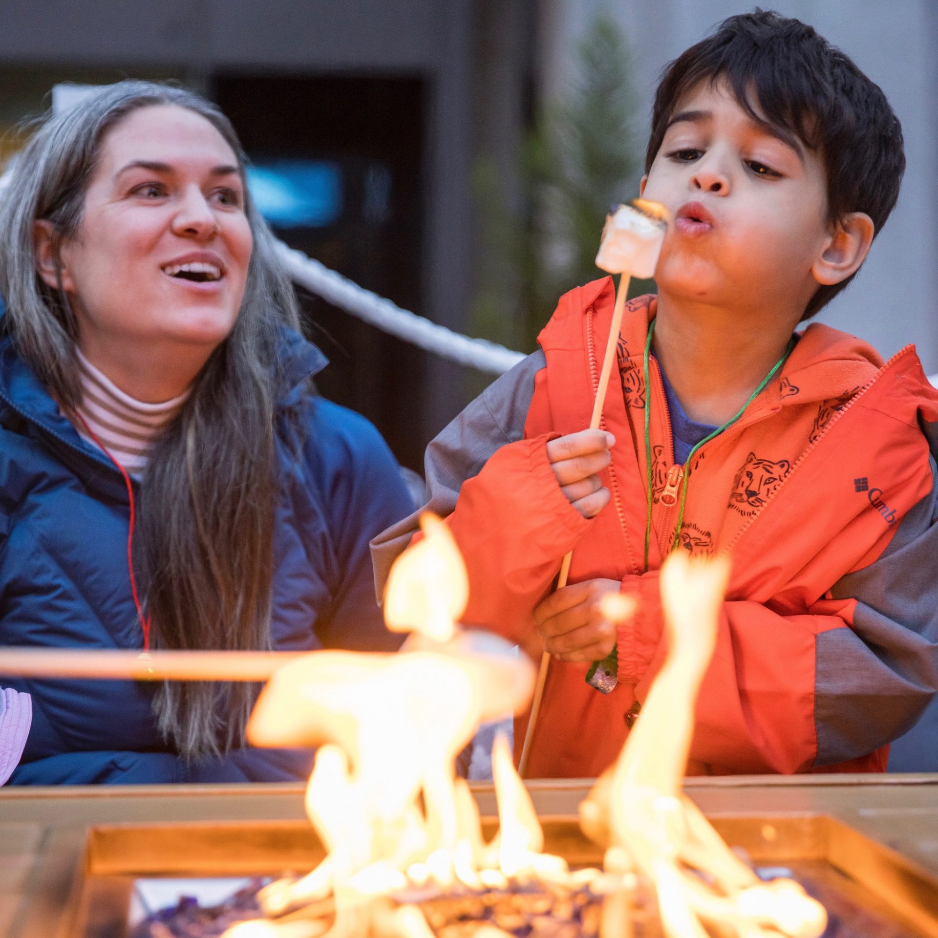 Movies Square Image1